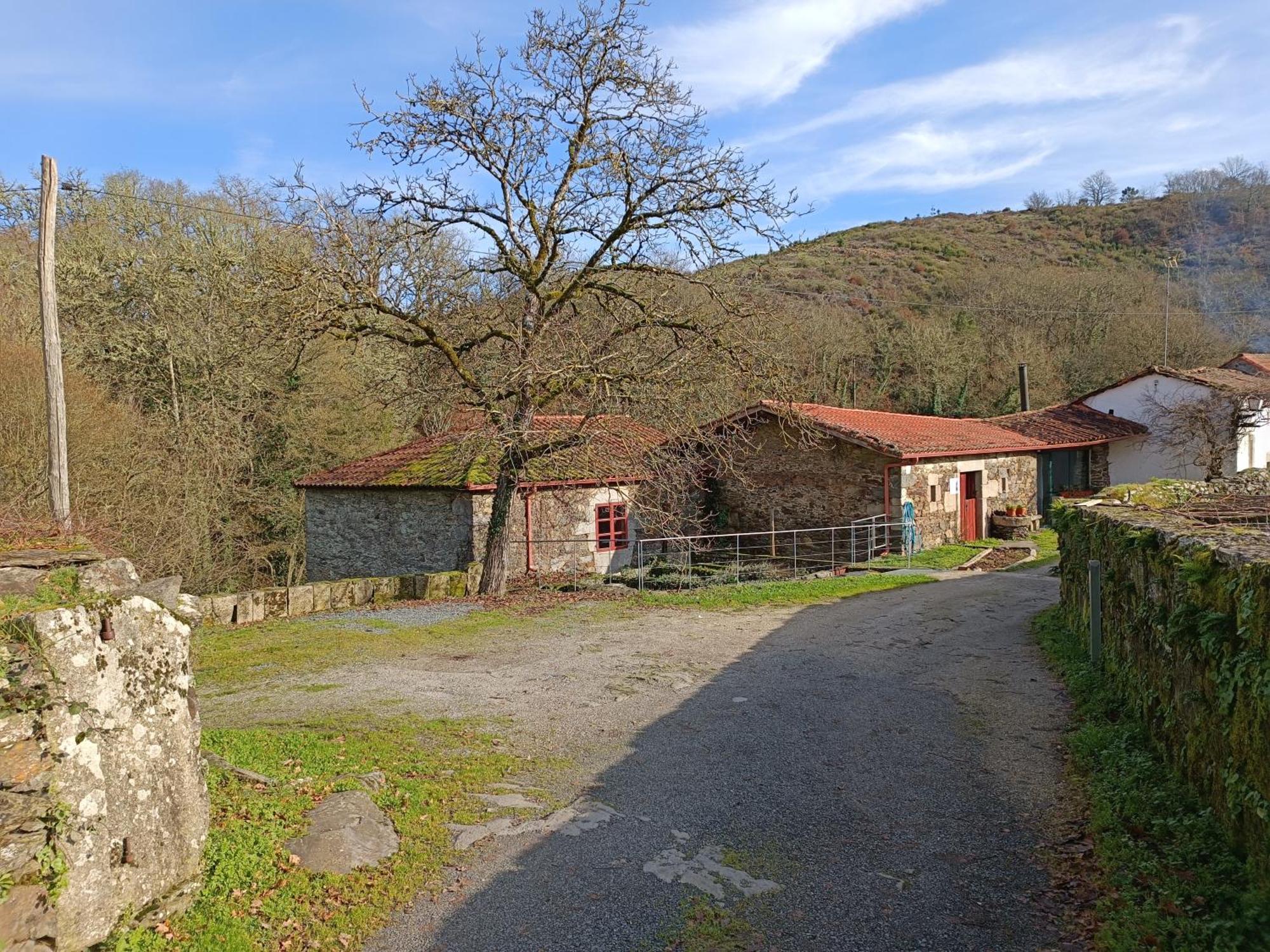 Casa Grande De Covas-Apartamentos Turisticos Taboada Екстер'єр фото
