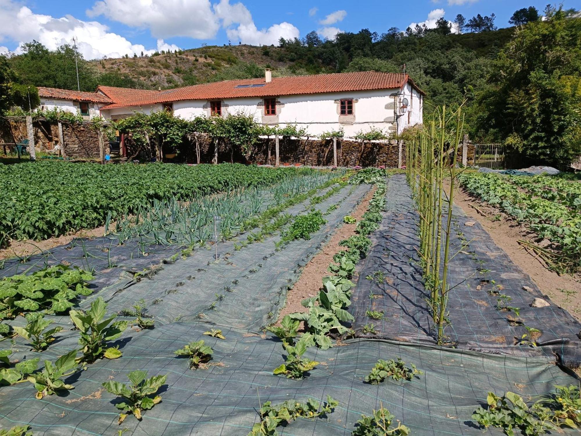 Casa Grande De Covas-Apartamentos Turisticos Taboada Екстер'єр фото