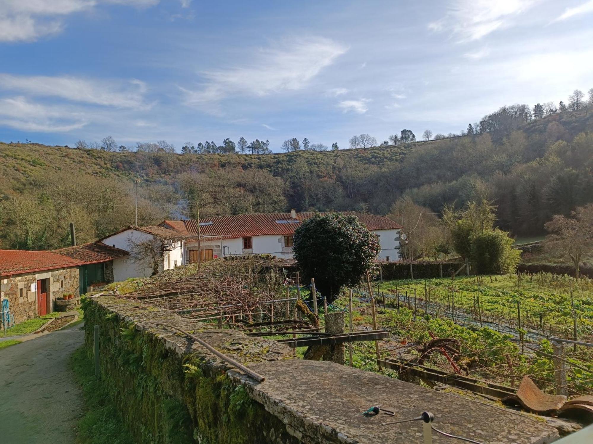 Casa Grande De Covas-Apartamentos Turisticos Taboada Екстер'єр фото