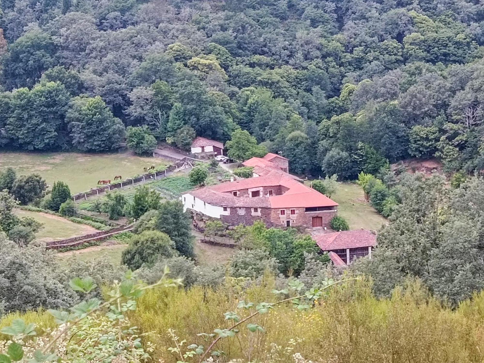 Casa Grande De Covas-Apartamentos Turisticos Taboada Екстер'єр фото