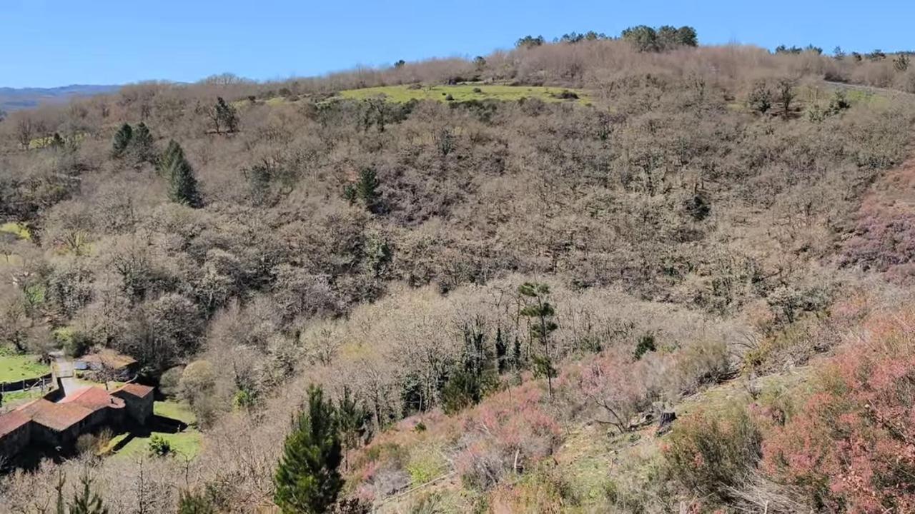 Casa Grande De Covas-Apartamentos Turisticos Taboada Екстер'єр фото